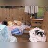 catcolonymom